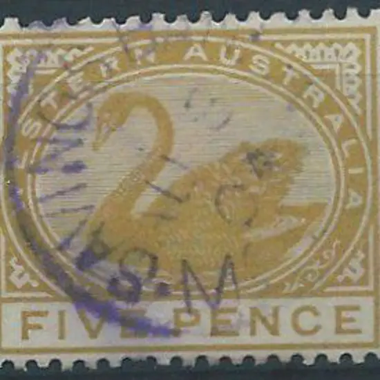 Moora Sbi Variable strike in violet on 5d ...