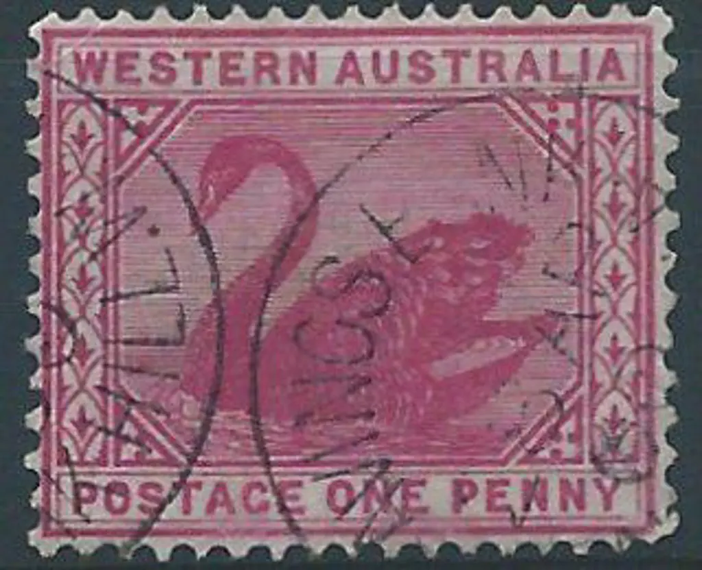 Peak Hill Sbii 2 Part strike on 1d red swan for 28 ... Image 1++