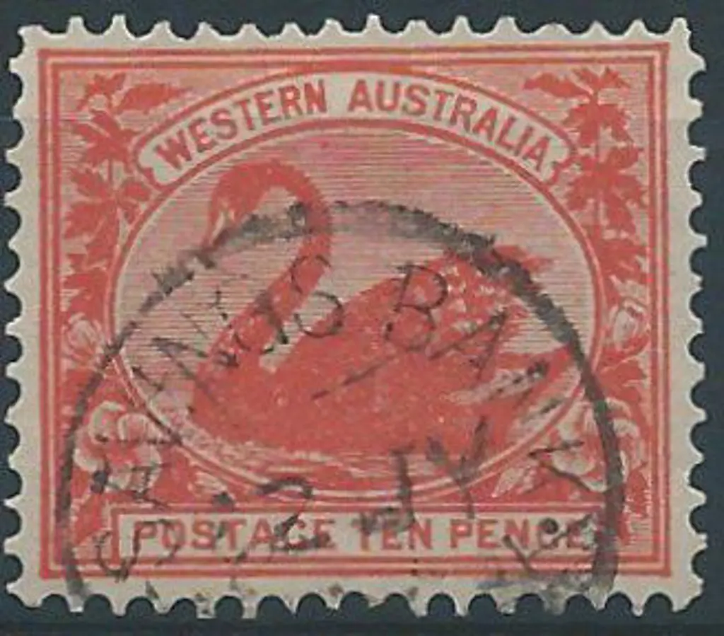 York Sbi 70% strike on 10d orange-red swan 12 JY ? ... Image 1++