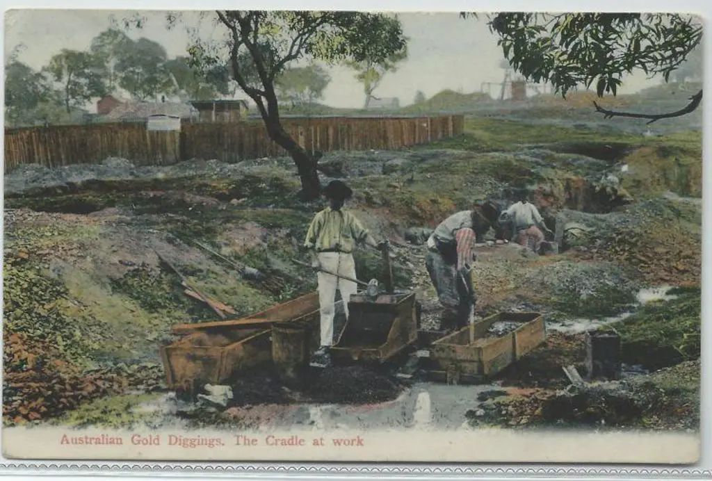 "Australian Gold Diggings. The Cradle at Work" ... Image 1++