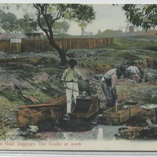 "Australian Gold Diggings. The Cradle at Work" ...