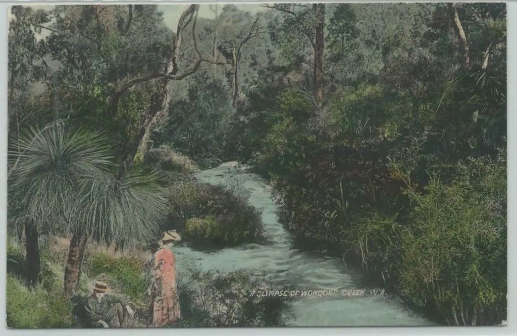 "Glimpse of Wongong Creek, WA" (Falk) Coloured, ... Image 1++