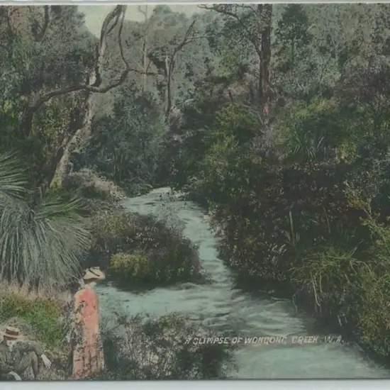 "Glimpse of Wongong Creek, WA" (Falk) Coloured, ...