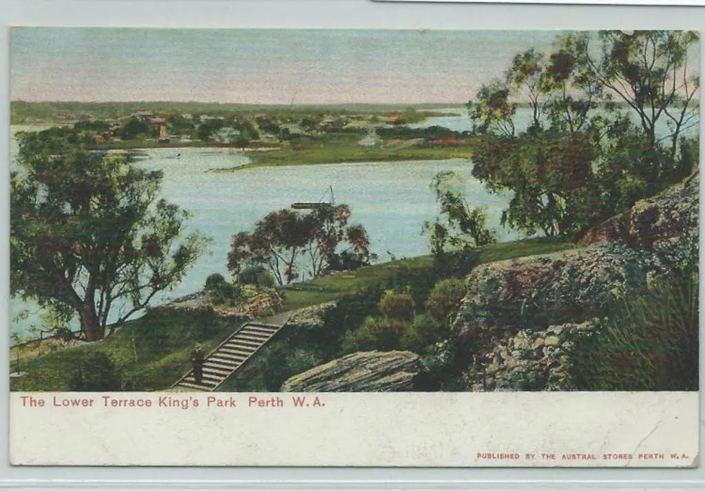 "The Lower Terrace King's Park Perth WA" (Austral ... Image 1++