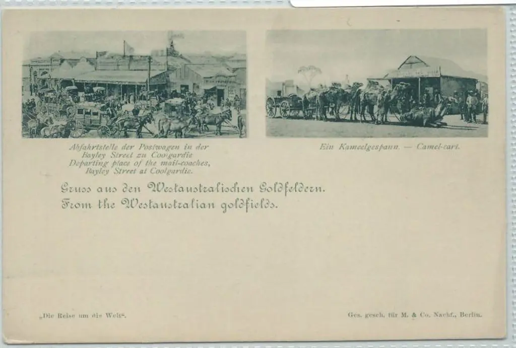 Baley St, Coolgardie & Camel Cart out side Alfred ... Image 1++