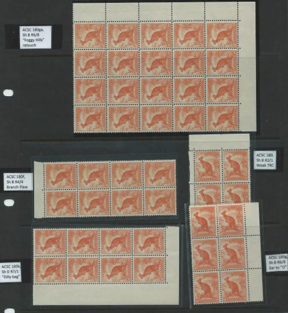 1938 ½d kangaroo, no wmk, MUH blocks x 5 all ... Image 1++