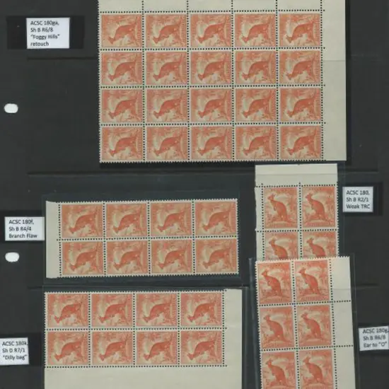 1938 ½d kangaroo, no wmk, MUH blocks x 5 all ...