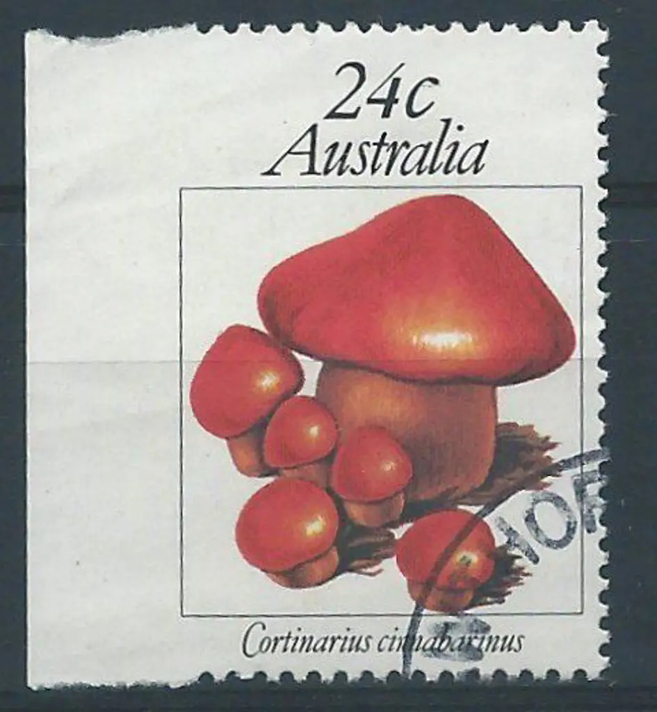 1981 24c Fungi imperforate left margin example. ... Image 1++