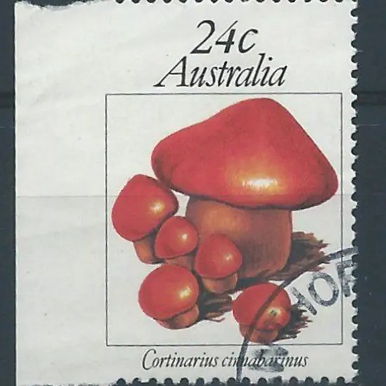 1981 24c Fungi imperforate left margin example. ...