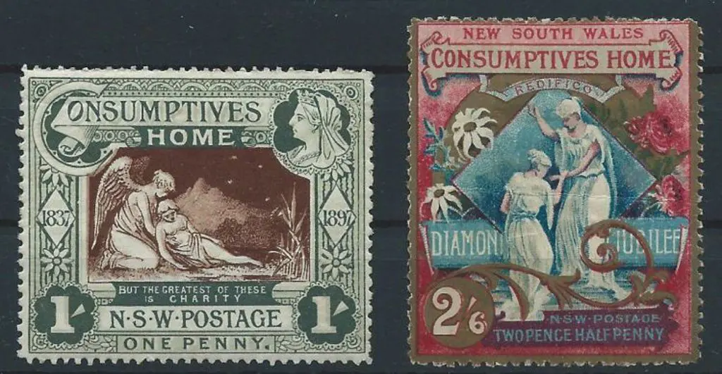 1897 Jubilee & Consumptive Homes Charity pair MLH. ... Image 1++