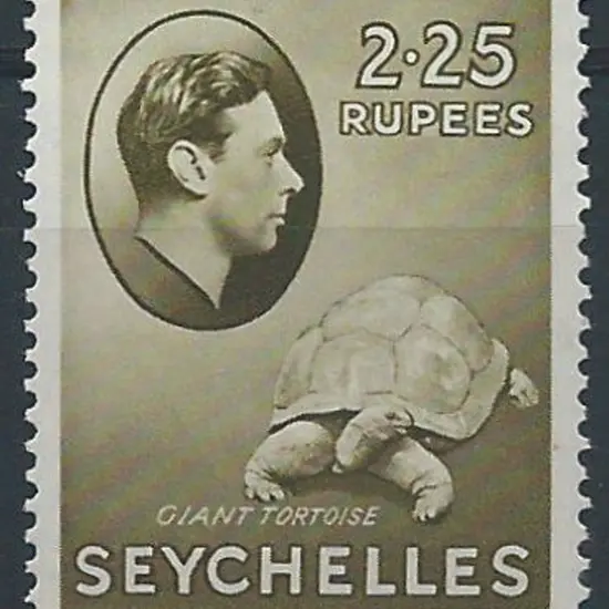 Seychelles 1942 2.25r KGVI tortoise on chalky ...