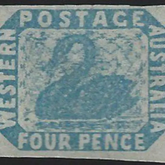 1854 4d pale blue swan. 4 large margins. Unused ...
