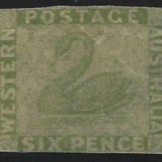 1861 6d sage-green swan. Mint, no gum, with good ...