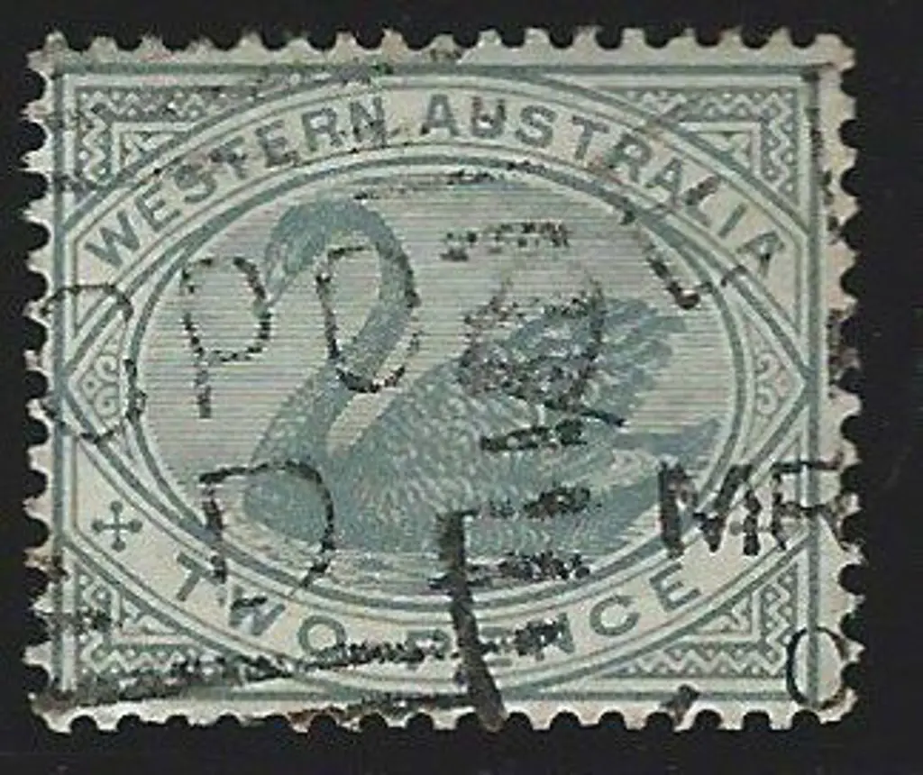 1890 2d grey swan, perf. 14, Crown CA wmk ... Image 1++