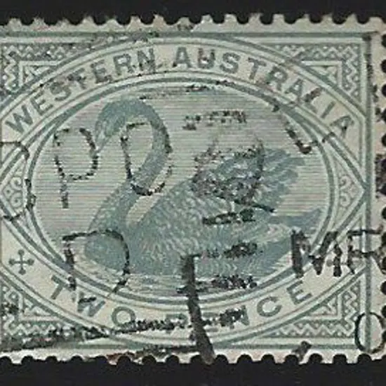 1890 2d grey swan, perf. 14, Crown CA wmk ...