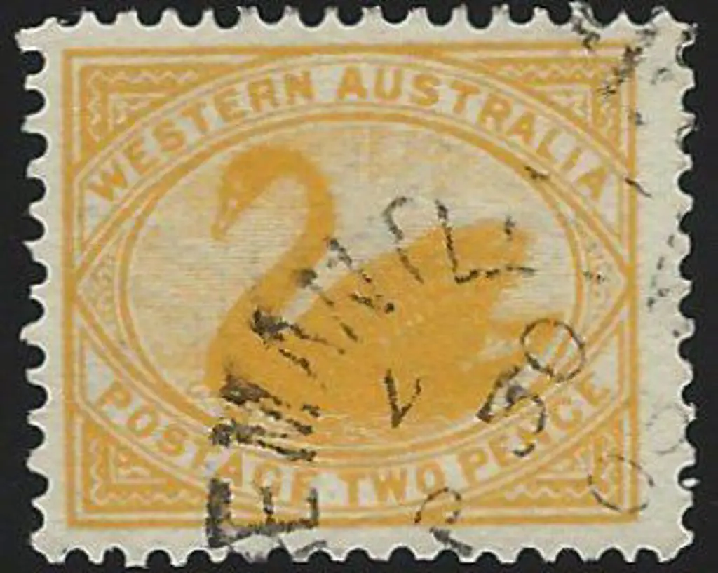 1902 2d yellow swan with V/Crown wmk reversed ... Image 1++