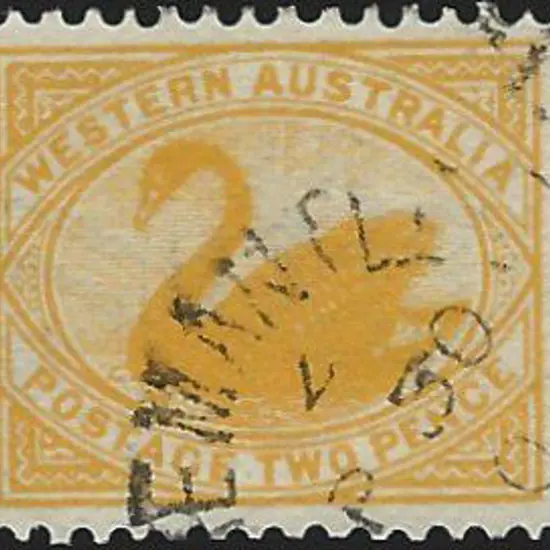 1902 2d yellow swan with V/Crown wmk reversed ...