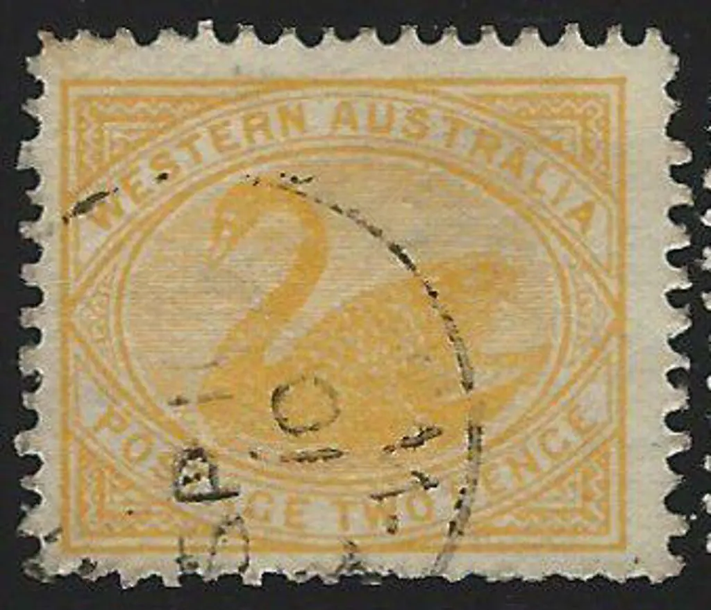 1905 2d orange-yellow swan, perf. 12 x 12½, with ... Image 1++