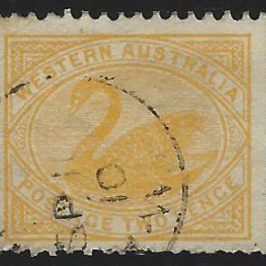 1905 2d orange-yellow swan, perf. 12 x 12½, with ...