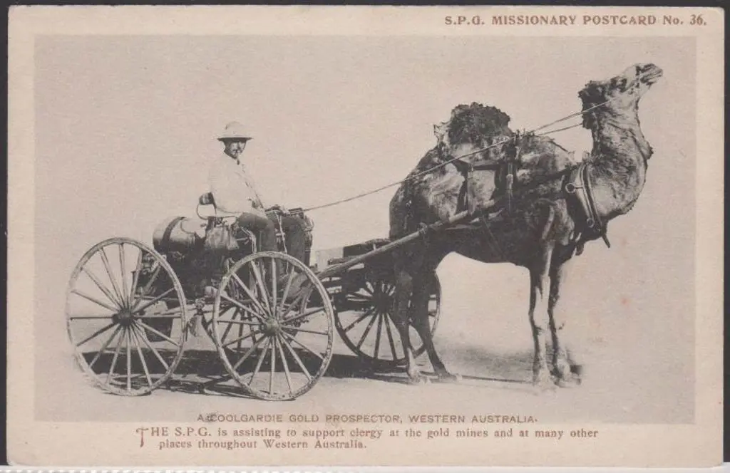 "A Coolgardie Gold Prospector, Western Australia" ... Image 1++