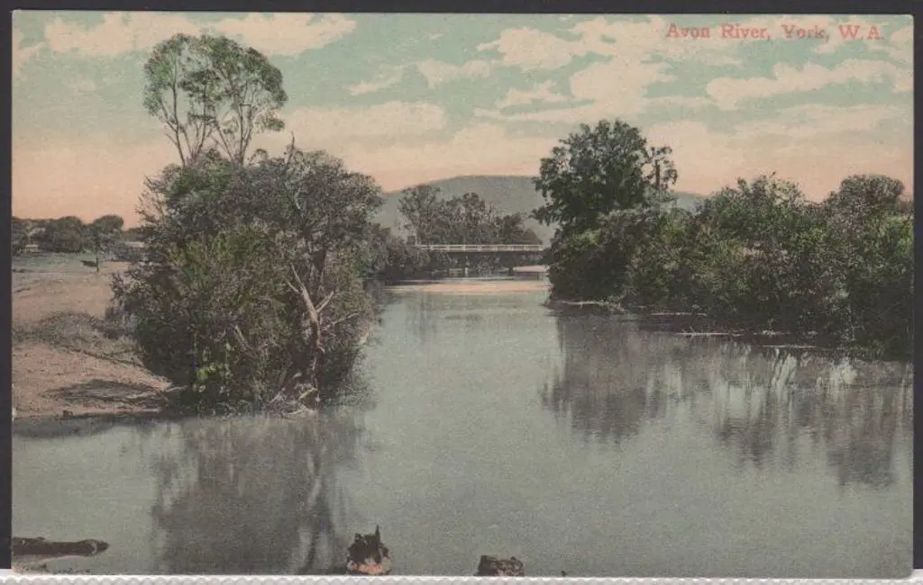 "Avon River, York, WA" (Falk) in colour. Unused ... Image 1++