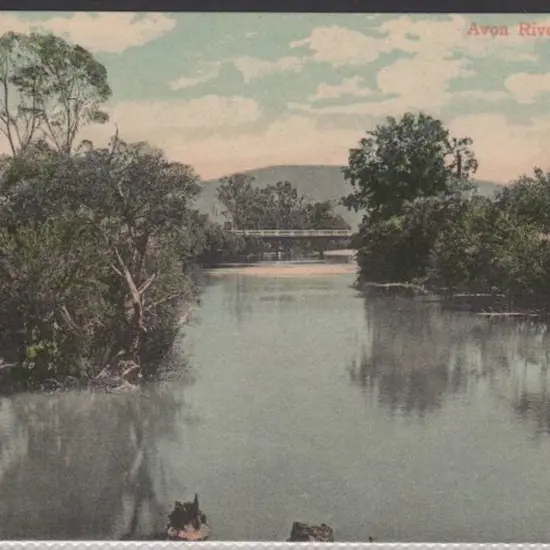 "Avon River, York, WA" (Falk) in colour. Unused ...