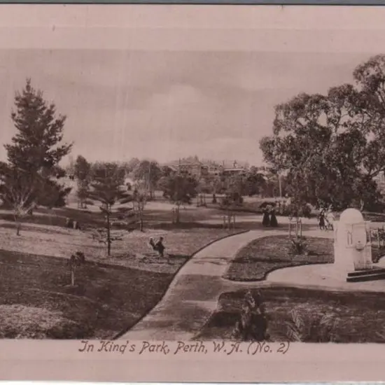 "In King's Park, Perth, WA (No. 2)" (Falk) in ...