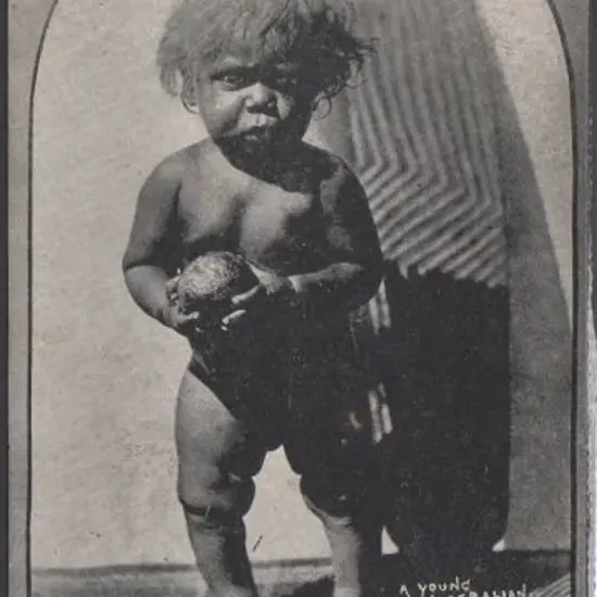 "A Young Australian 8½ Months Old" (Perfection ...