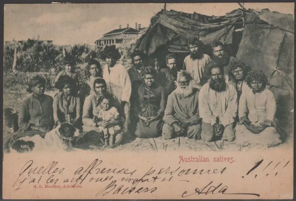 "Australian Natives" (G.L.Mueller, Adelaide) in ... Image 1++