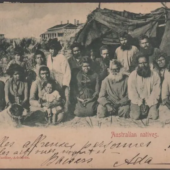 "Australian Natives" (G.L.Mueller, Adelaide) in ...