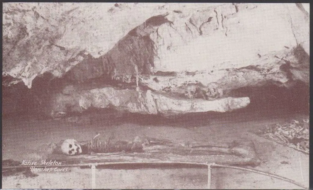 "Native Skeleton Yanchep Caves" (unidentified ... Image 1++