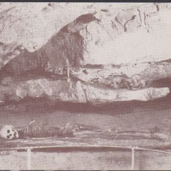 "Native Skeleton Yanchep Caves" (unidentified ...