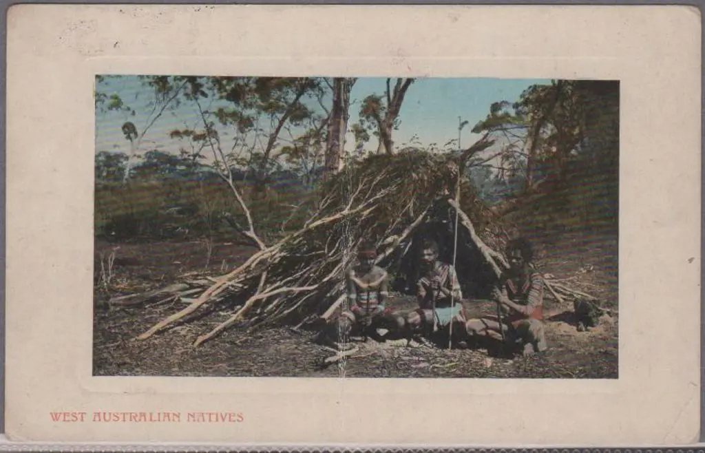 "West Australian Natives" (Falk) in colour. Unused ... Image 1++