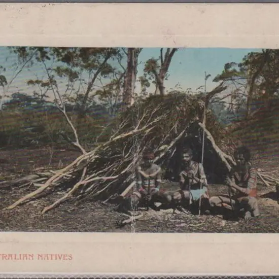 "West Australian Natives" (Falk) in colour. Unused ...