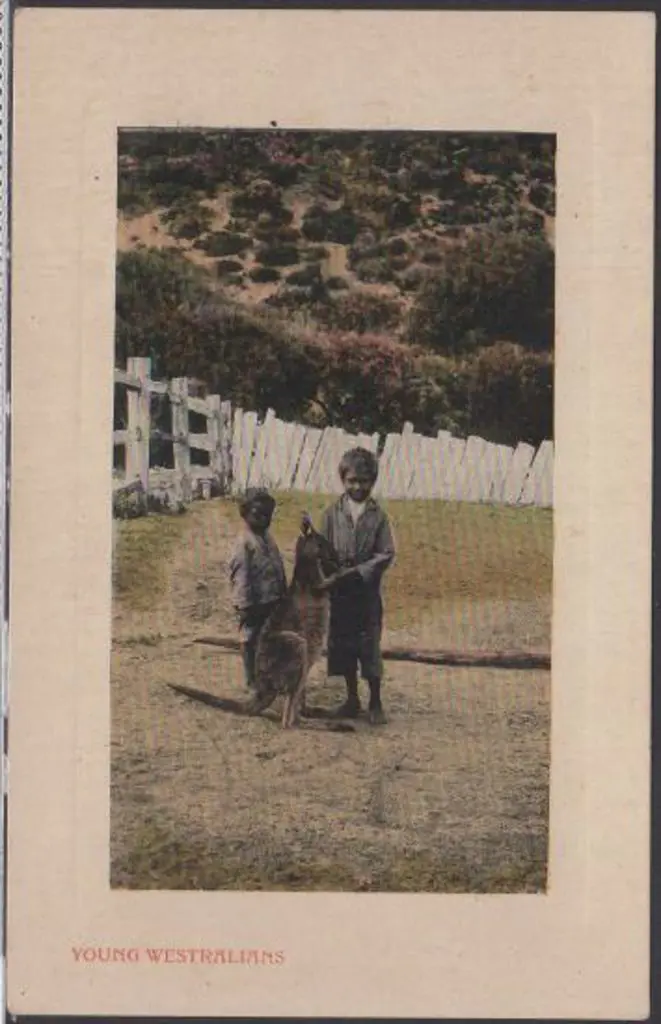 "Young Westralians" (Falk) in colour. Unused in ... Image 1++