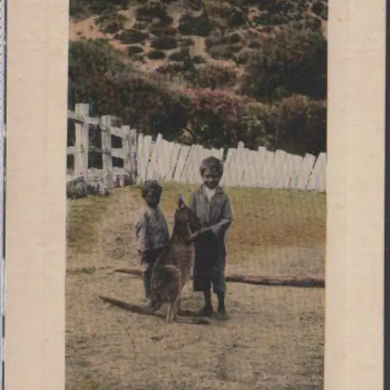 "Young Westralians" (Falk) in colour. Unused in ...