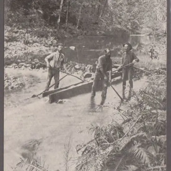 "Sluicing for Gold, Russel River, N.Q. (Atkinson, ...