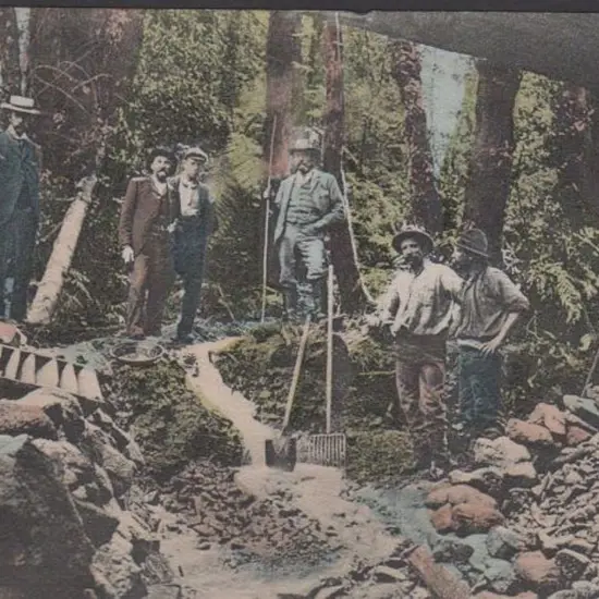 "Sluicing for Wolfran Mt Bismark, Vic" (VSM) in ...