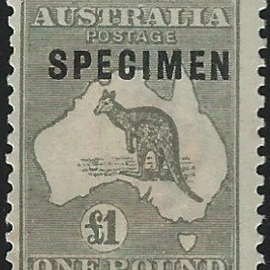 1915-28 3rd wmk £1 grey overprinted type D ...