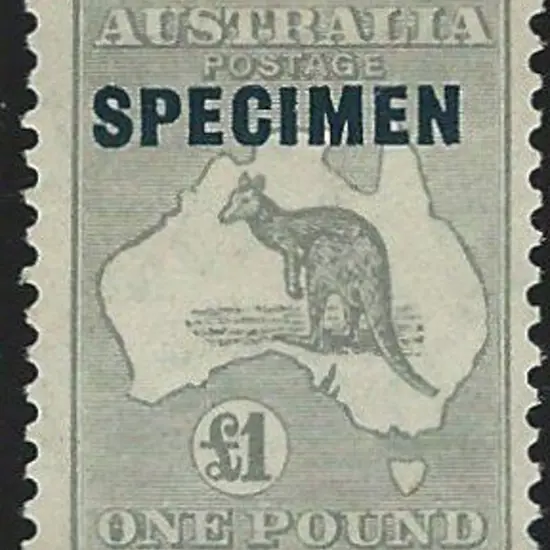 1923-24 New colours £1 grey SPECIMEN ovpt type D ...