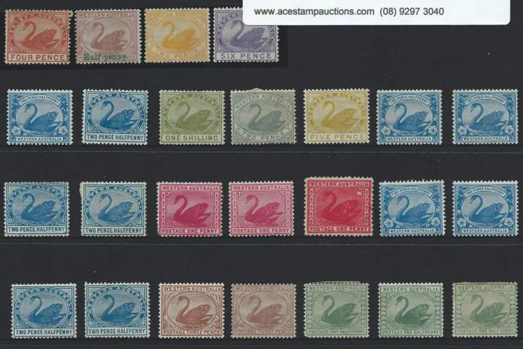 Swans, all surface printed, MLH dupl range to 1/- ... Image 1++