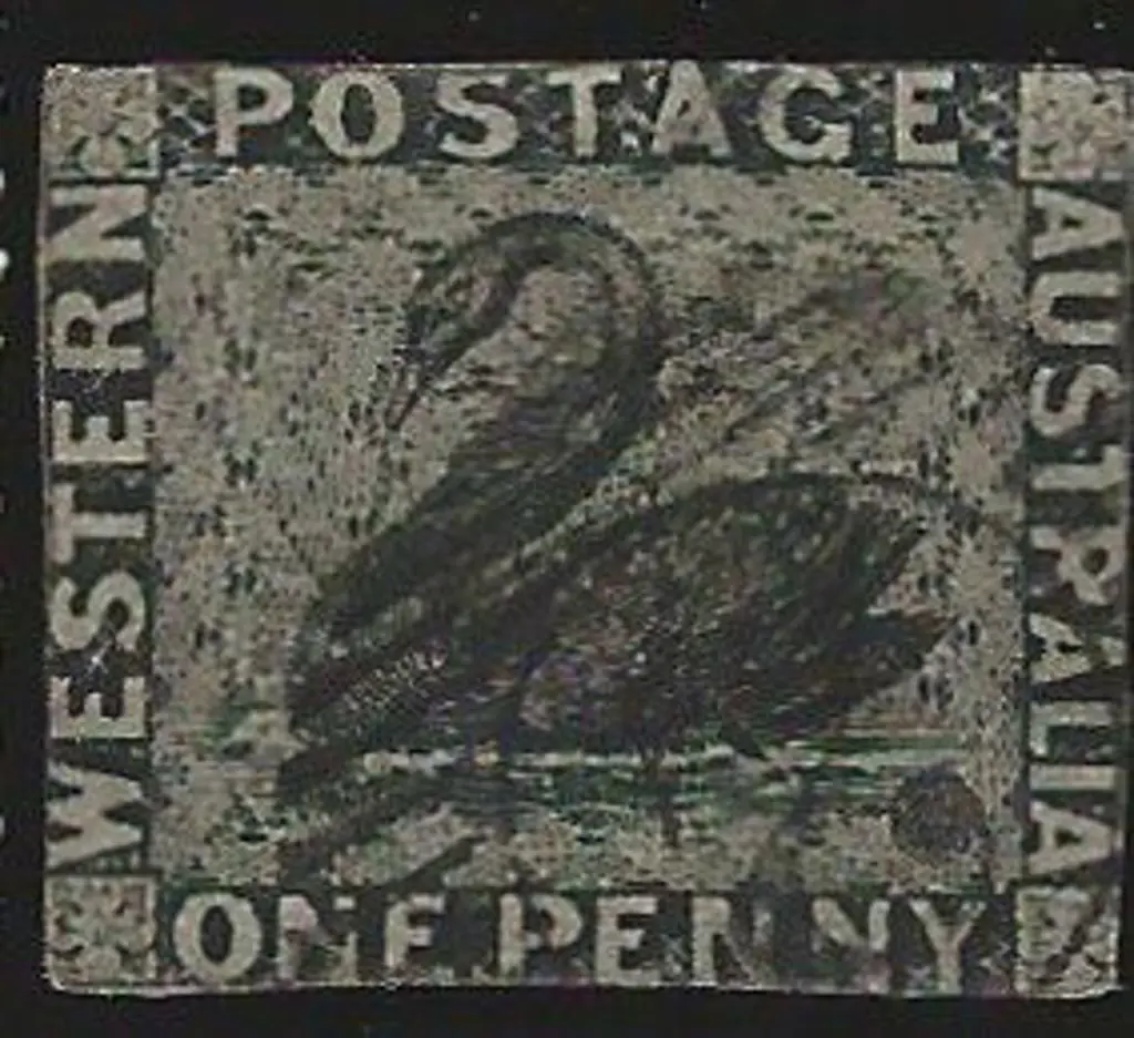 1854 1d black swan F/U with neat 15 bar 2 cancel. ... Image 1++