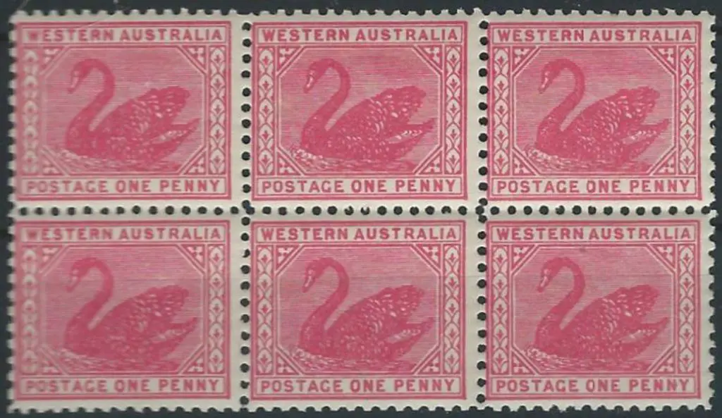 1905/12 1d rose-pink swan, perf. 11 with ... Image 1++