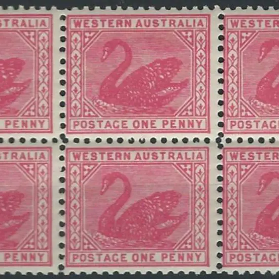 1905/12 1d rose-pink swan, perf. 11 with ...
