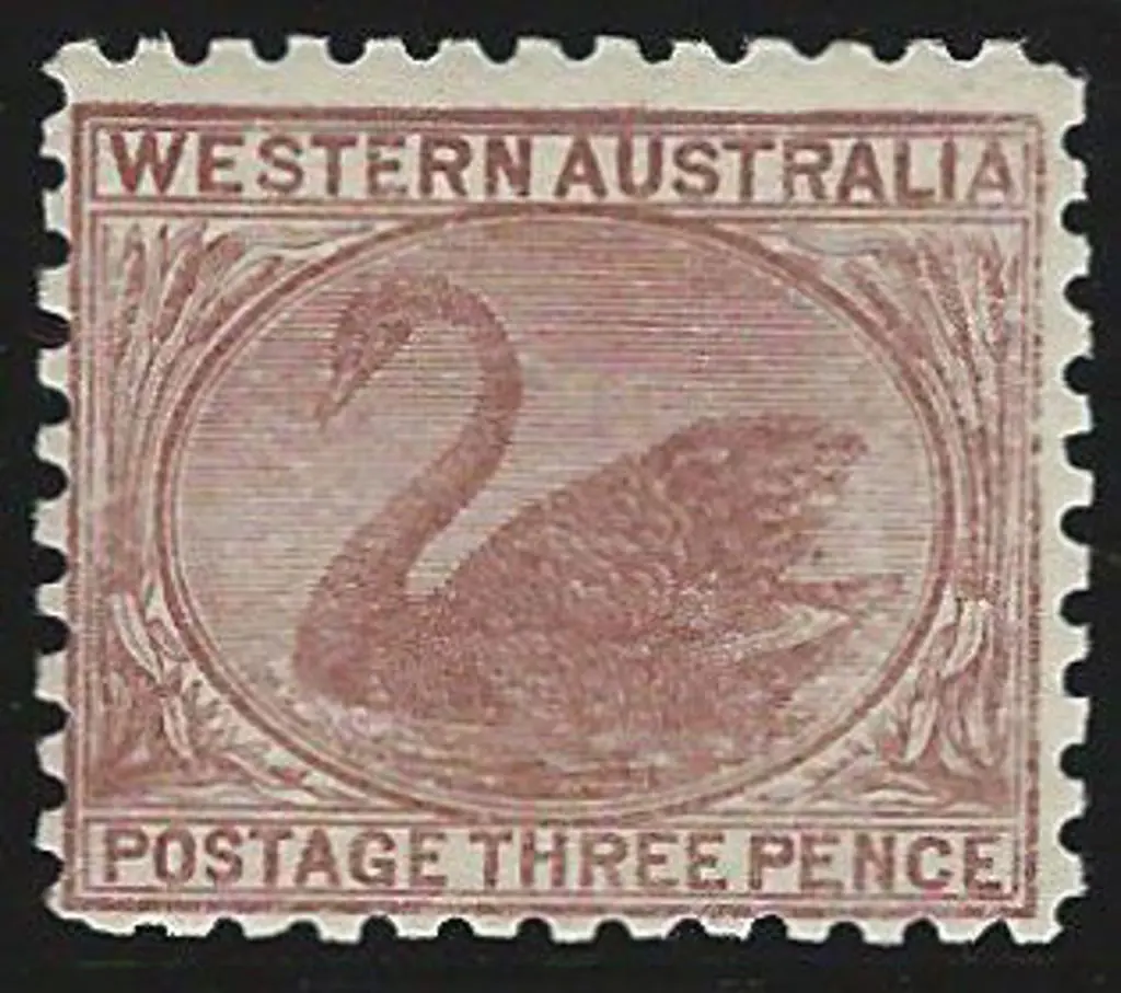 1905/12 3d brown swan, perf. 11 with ... Image 1++