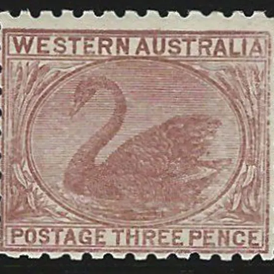 1905/12 3d brown swan, perf. 11 with ...
