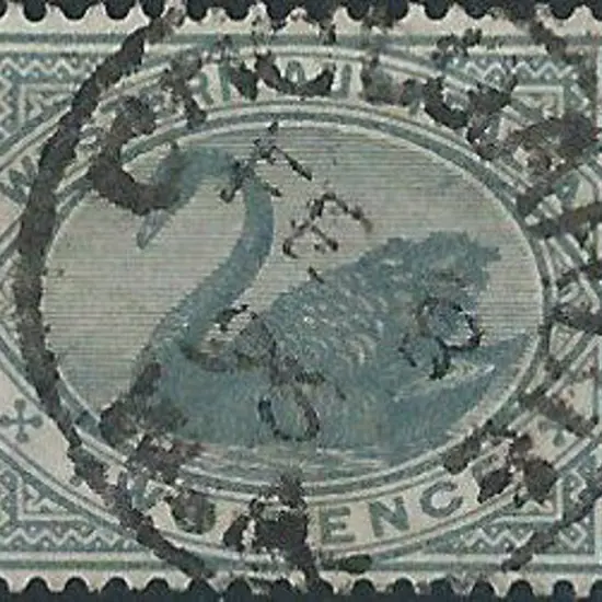 Coolgardie 3b-d on 2d grey swan dated 8 FEB 96. ...