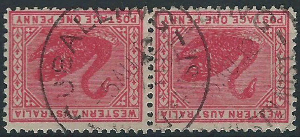 Cuballing B30 on 1d red swan pair dated 5 AU 12. ... Image 1++