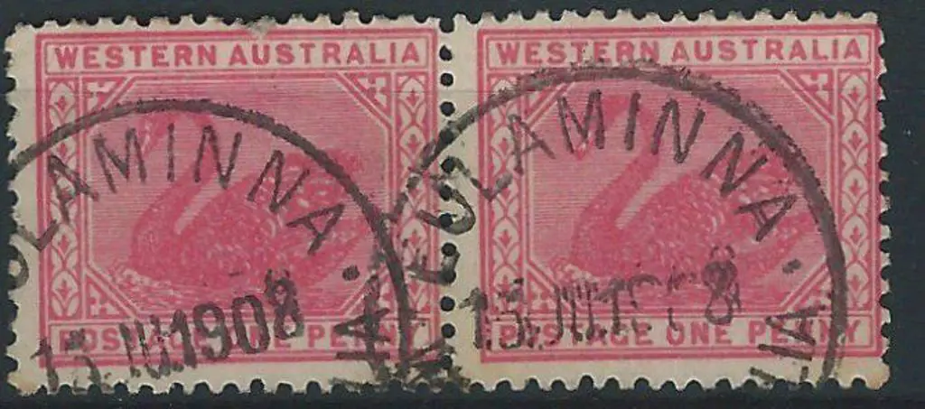 Eulaminna A28 on 1d red swan pair dated 13 JUL 08. ... Image 1++