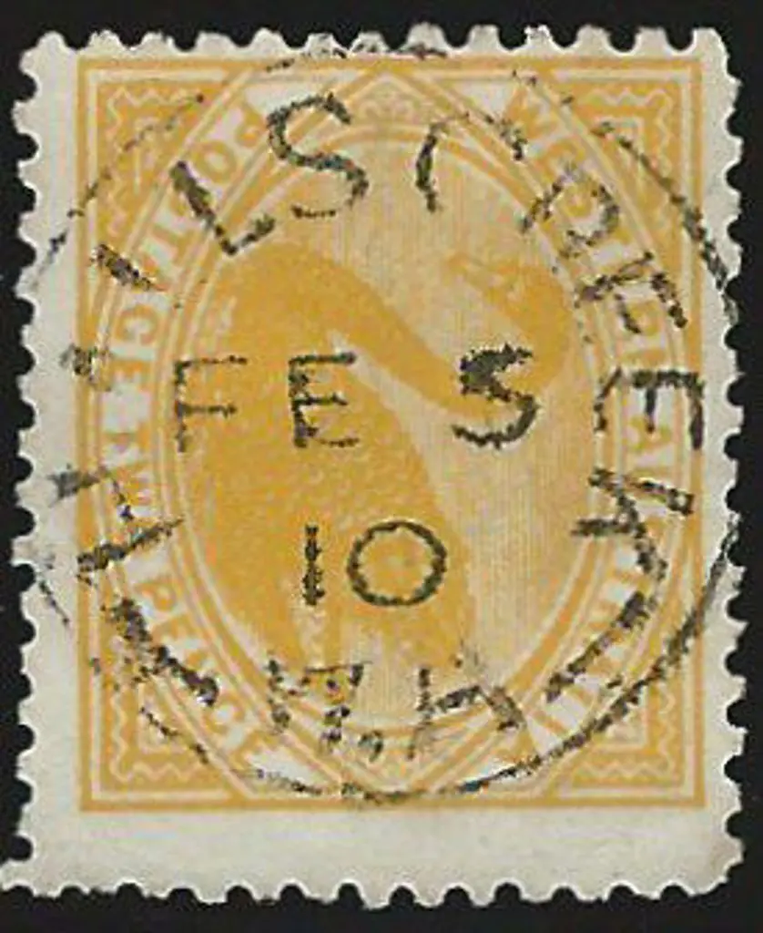 Halls Creek 3b. Complete strike on 2d yellow swan ... Image 1++